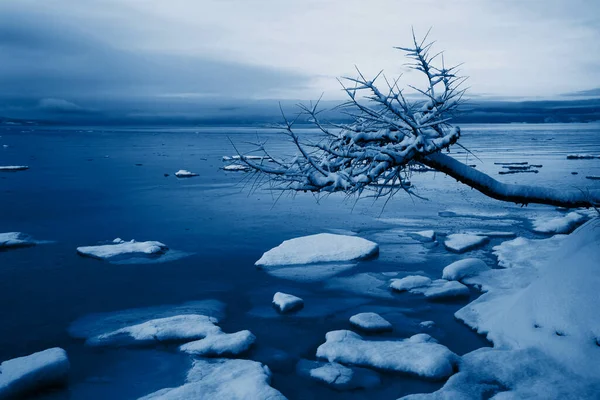 2020年经典蓝色的流行色彩 挪威冬季峡湾景观 有树木和冰 — 图库照片