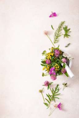 Tıbbi bitkiler havanda. Yonca folyo tansy rosebay