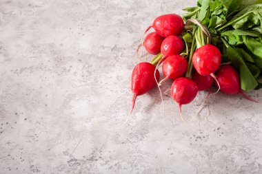 Gri arkaplanda taze çiğ turp