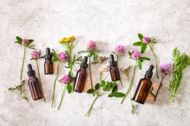 Tıbbi çiçek bitkileri şişelerdeki temel yağlar. Alternatif tıp Yonca folyo tansy rosebay