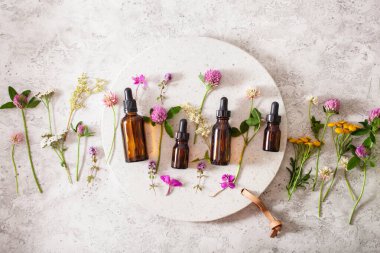 Tıbbi çiçek bitkileri şişelerdeki temel yağlar. Alternatif tıp Yonca folyo tansy rosebay