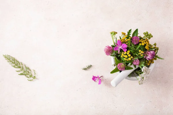 Medical Flowers Herbs Mortar Clover Milfoil Tansy Rosebay — Stock Photo, Image