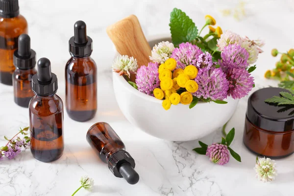 Medicinska Blommor Örter Murbruk Eteriska Oljor Flaskor Alternativ Medicin Klöver — Stockfoto