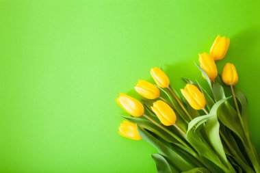 Güzel sarı lale çiçekleri yeşil arka planda yatıyordu.