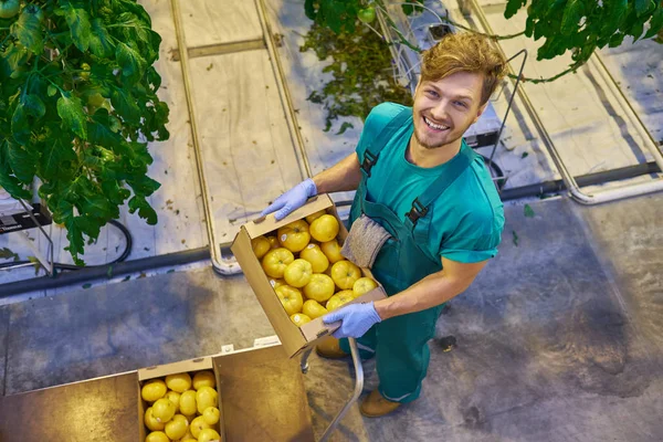 Freundlicher Bauer bei der Arbeit im Gewächshaus. — Stockfoto