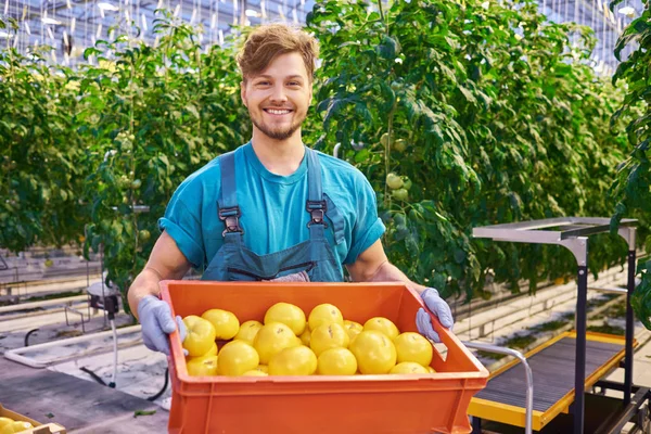 Freundlicher Bauer bei der Arbeit im Gewächshaus. — Stockfoto