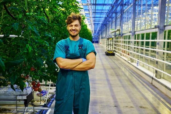 Přátelský zemědělec v práci ve skleníku — Stock fotografie