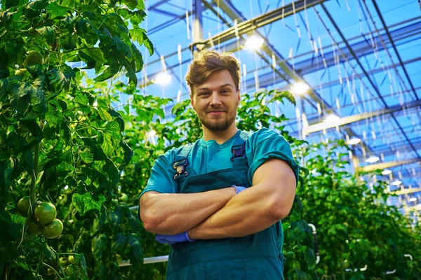 Agricultor amigável no trabalho em estufa — Fotografia de Stock