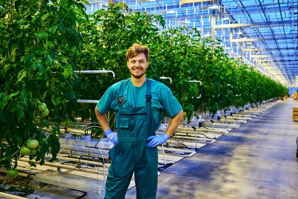 Přátelský zemědělec v práci ve skleníku — Stock fotografie