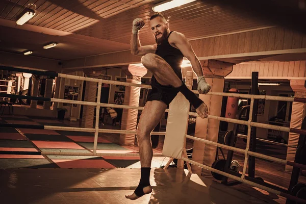 Тіньовий боксер на тренувальному кільці — стокове фото