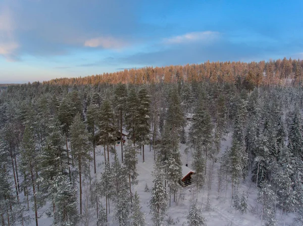 Vue aérienne du paysage de neige et de la forêt d'hiver — Photo