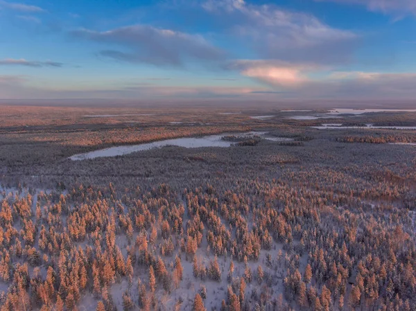 Вид с воздуха на зимний снег и лес — стоковое фото