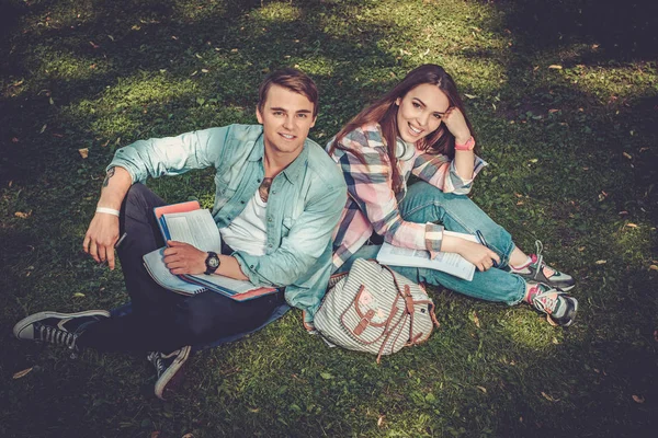 Wesoły para ze studiowaniem w parku — Zdjęcie stockowe