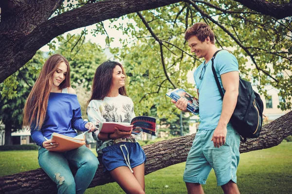 Gruppo di studenti multietnici in un parco cittadino — Foto Stock