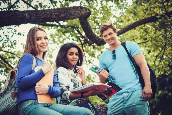 Grupo de estudantes multi étnicos em um parque da cidade — Fotografia de Stock