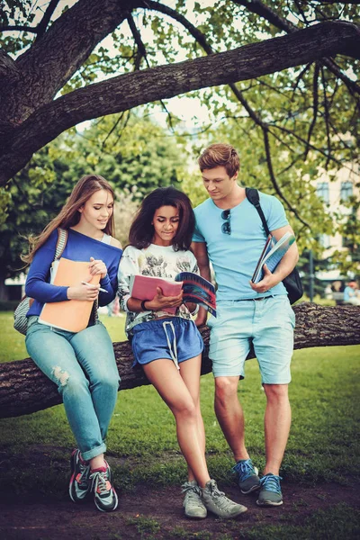 Grupo de estudiantes multiétnicos en un parque urbano —  Fotos de Stock