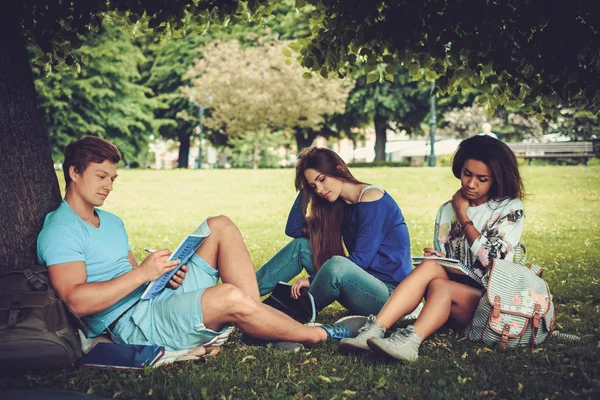 Grupo de estudantes multi étnicos em um parque da cidade — Fotografia de Stock