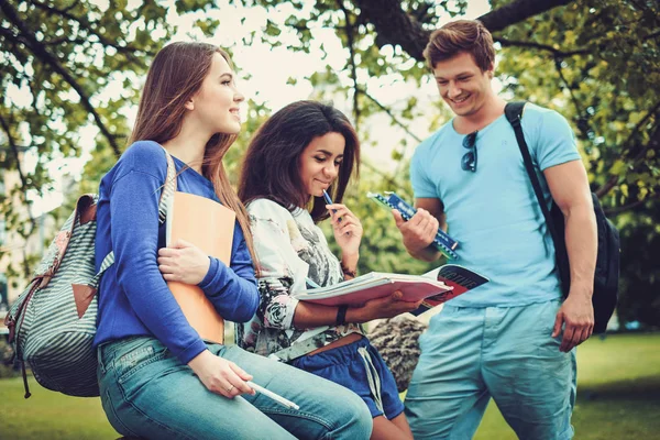 Více etnických studenti v městském parku — Stock fotografie