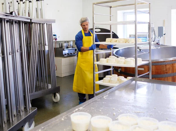 Handsome cheesemaker making curd cheese in his factory. — Stock Photo, Image