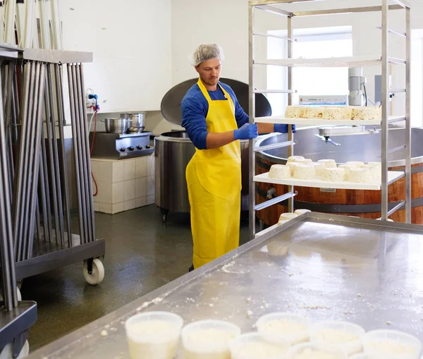 Yakışıklı cheesemaker onun fabrikasında lor peynir yapma. — Stok fotoğraf