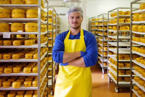 Knappe kaasproducent is het controleren van kazen in zijn werkplaats opslag. — Stockfoto