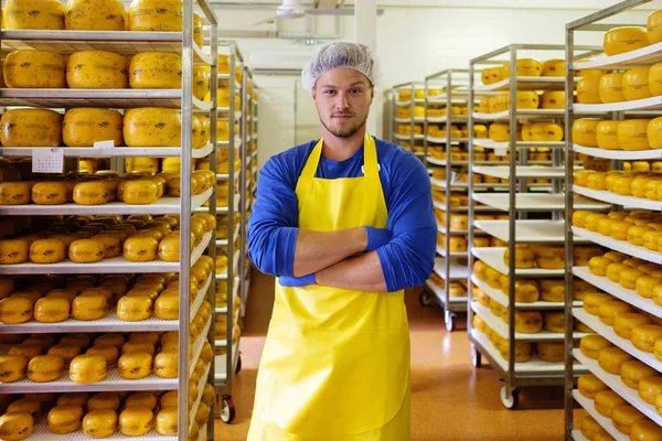 Guapo quesero está comprobando quesos en su almacén de taller . — Foto de Stock