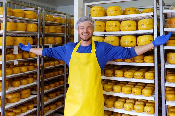 Guapo quesero está comprobando quesos en su almacén de taller . — Foto de Stock