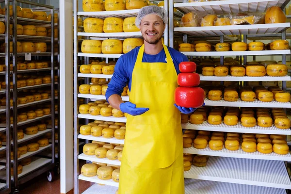 Knappe kaasproducent is het controleren van kazen in zijn werkplaats opslag. — Stockfoto