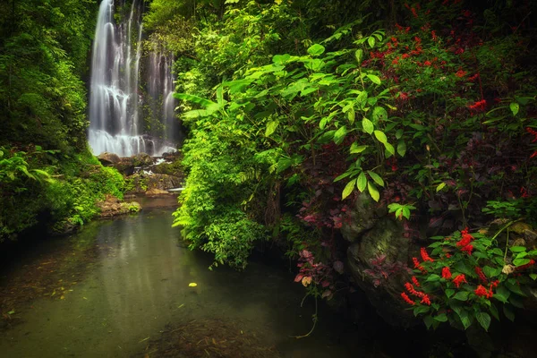 Вид на водоспад Лабухан Кебо розташований в Мандуку, Балі. — стокове фото