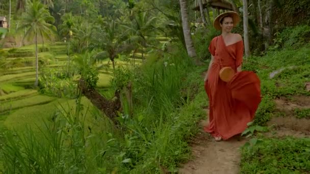 Kvinna promenader på Tegalalang Rice Terrace, Bali — Stockvideo
