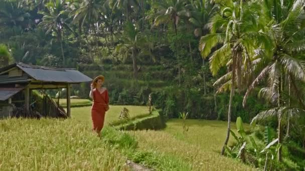 巴厘Tegalang稻田上行走的妇女 — 图库视频影像