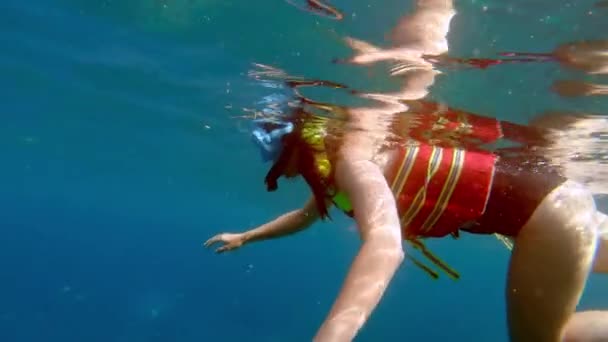 Snorkelen met kleurrijke vissen in een tropisch water — Stockvideo