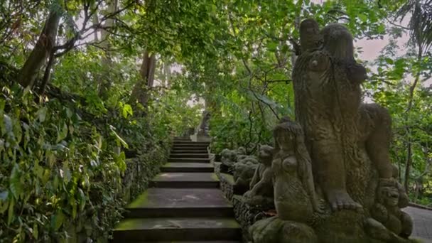 Estátuas na floresta de macacos em Ubud, Bali — Vídeo de Stock