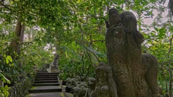 Ubud, Bali 'deki maymun ormanlarında heykeller — Stok video