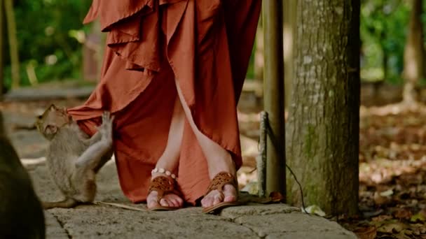 Mujer en el bosque de monos en Ubud, Bali — Vídeos de Stock