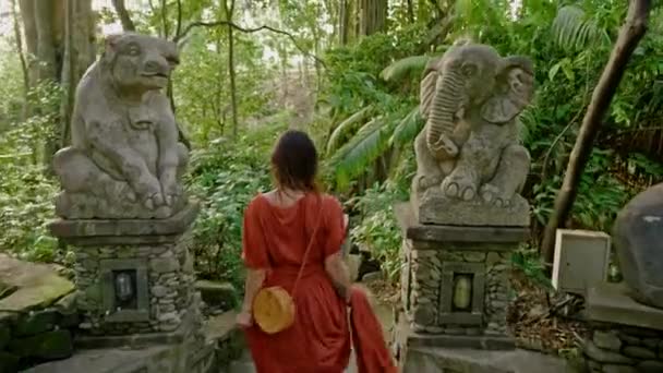Mujer en el bosque de monos en Ubud, Bali — Vídeos de Stock