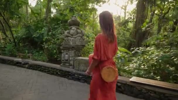 Kobieta w lesie małp w Ubud, Bali — Wideo stockowe