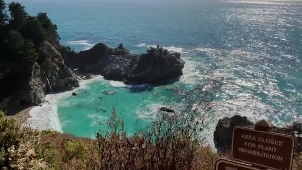 McWay Falls a Julia Pfeiffer Burns State Park, Stati Uniti — Video Stock