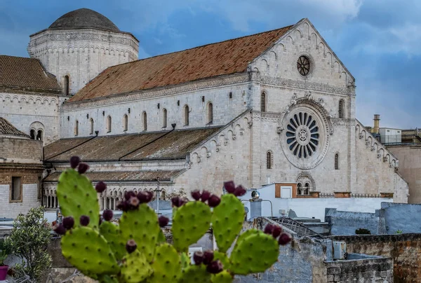 Vista do terraço na Catedral de San Sabino em Bari, Itália — Fotografia de Stock