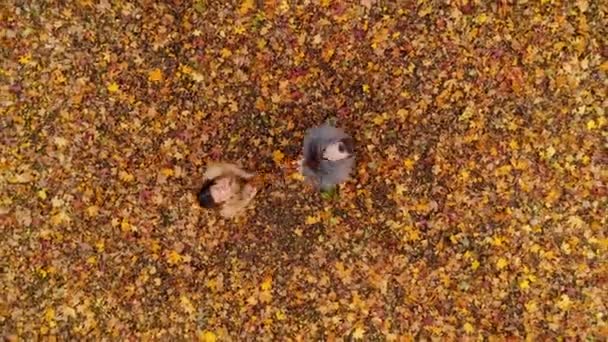 Vista drone de casal encantador no parque de outono — Vídeo de Stock