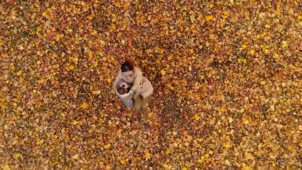 Drone view of lovely couple in autumn park — Stock Video