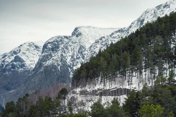 Вид Аврору Норвегии — стоковое фото