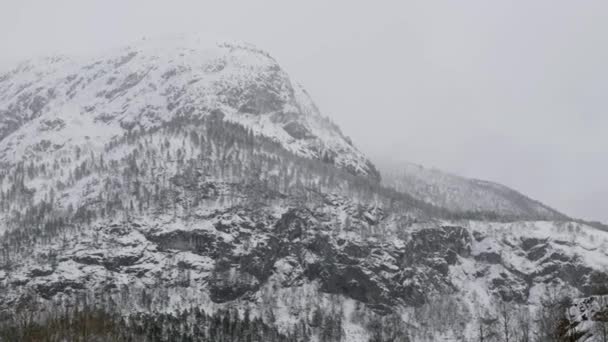 挪威的雪山和森林 — 图库视频影像