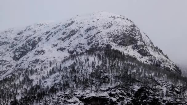 Colinas Nevadas Bosque Noruega — Vídeo de stock
