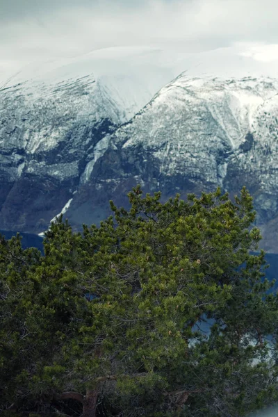 Montanhas perto de Aurlandsfjord na Noruega — Fotografia de Stock