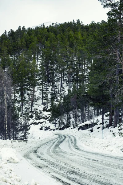Sněžná silnice a les v Norsku — Stock fotografie