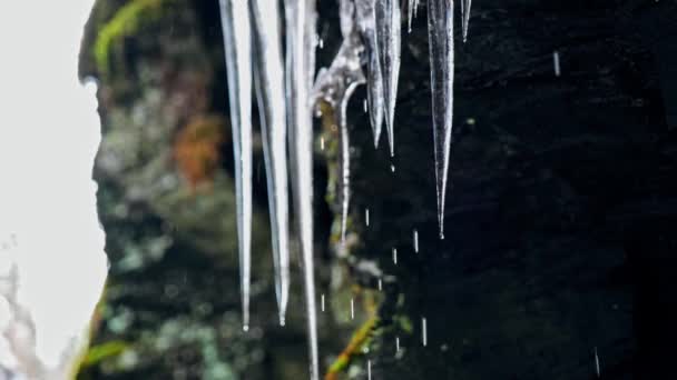 Klippe Voller Eiszapfen — Stockvideo