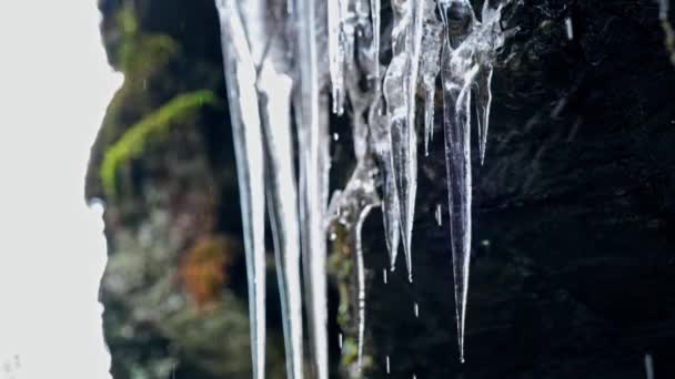 Une Falaise Pleine Glaçons — Video