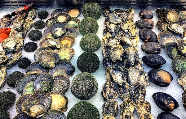 Berbagai makanan laut di pasar ikan di Bergen, Norwegia — Stok Foto