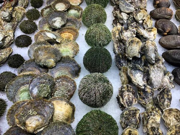 Diverse zeevruchten op vismarkt in Bergen, Noorwegen — Stockfoto